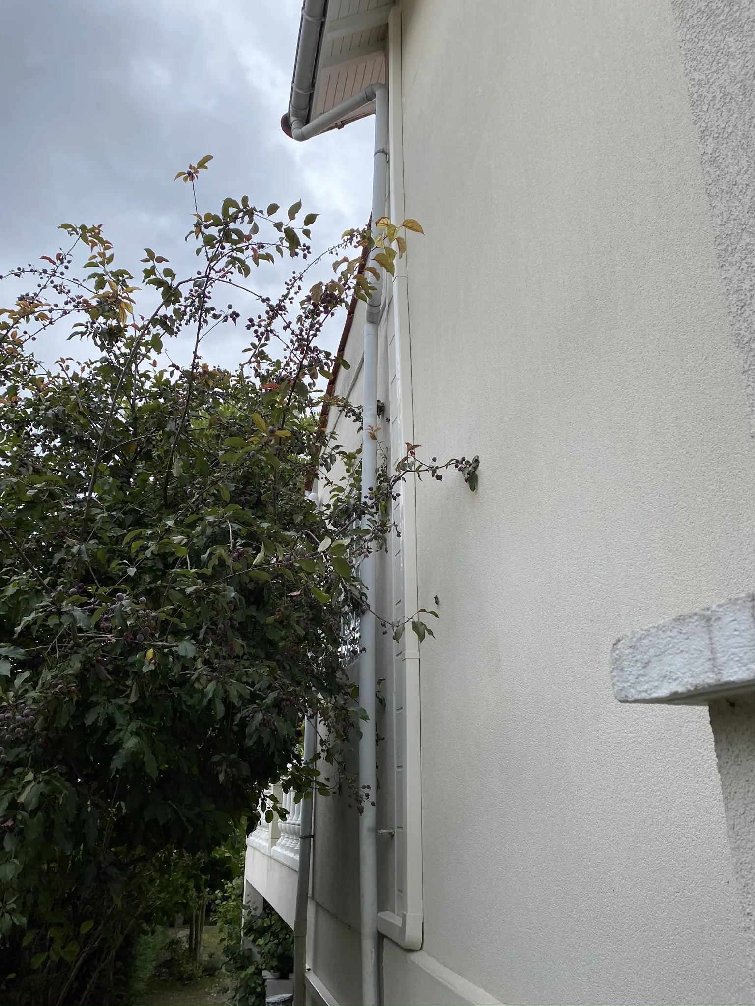 Photo Climatisation 21 Mg_0271_Resultat